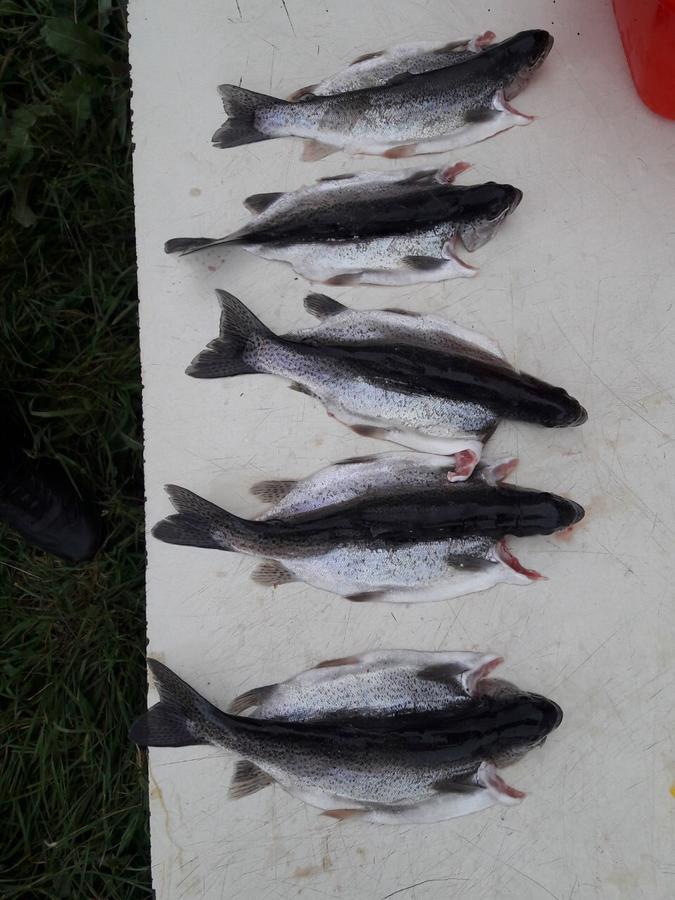 Fish Hotel Akhalkalaki Eksteriør billede